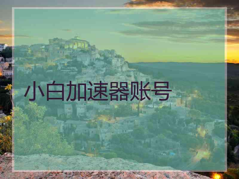 小白加速器账号 小白加速器账号